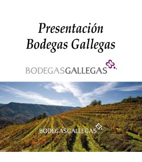 Presentación Bodegas Gallegas