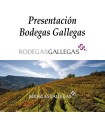 Presentación Bodegas Gallegas