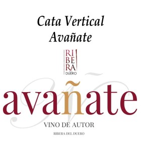 Cata Vertical Avañate