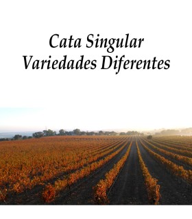 Cata Singular Variedades Diferentes